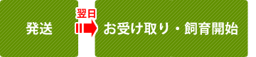 注文の流れ:発送、お受け取り